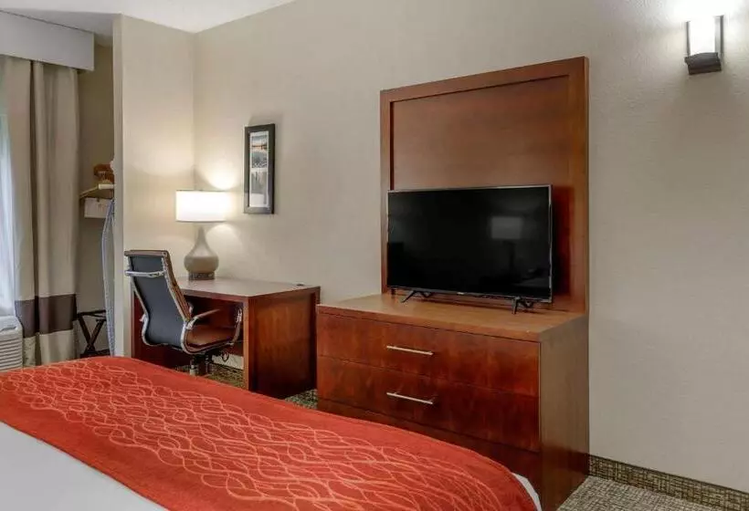 身障者適用キングサイズベッドルーム, Comfort & Inn Suites