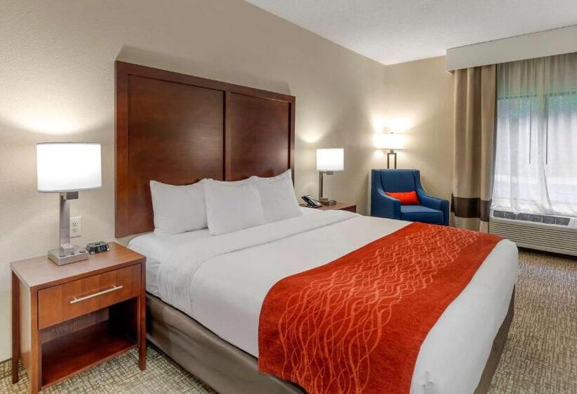 غرفة قياسية سرير كينج لذوى الإحتياجات الخاصة, Comfort & Inn Suites