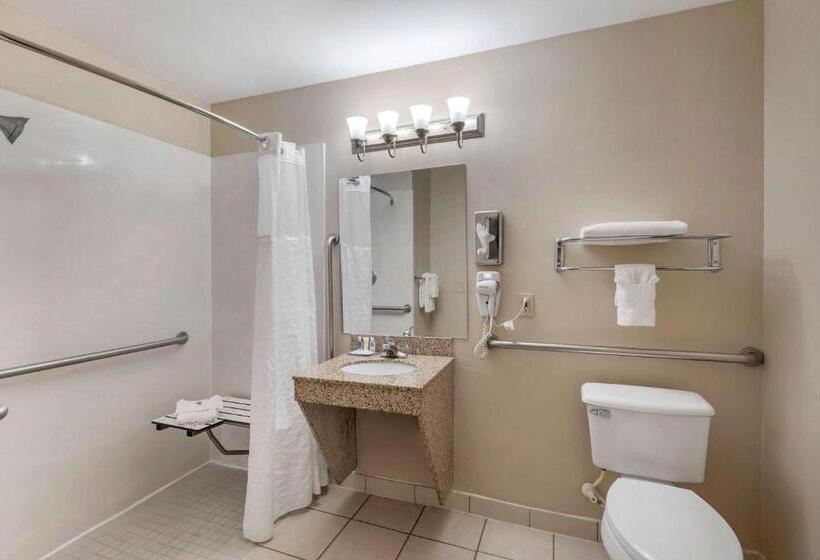 غرفة قياسية سرير كينج لذوى الإحتياجات الخاصة, Comfort & Inn Suites
