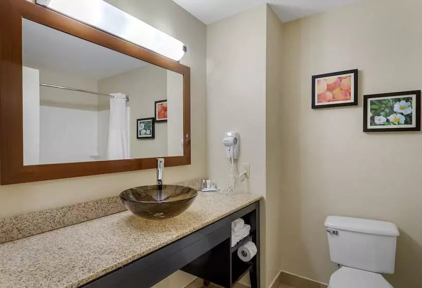 スイート, Comfort & Inn Suites