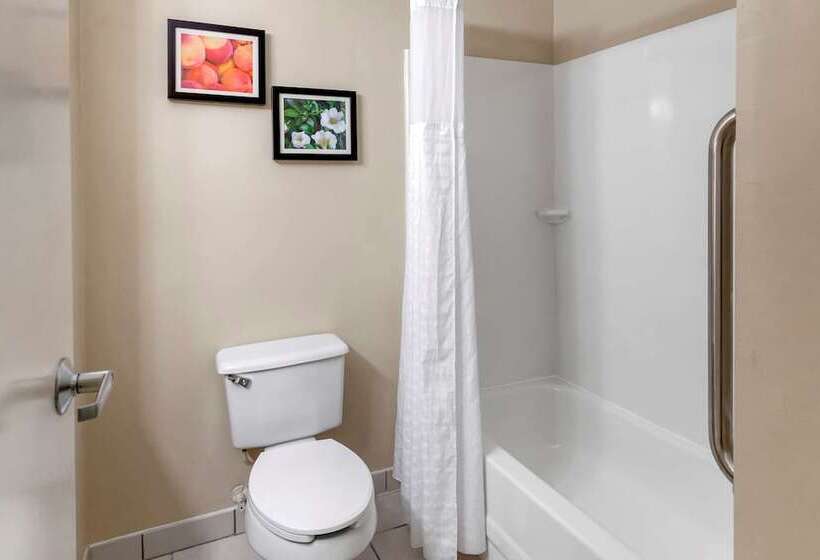 スイート, Comfort & Inn Suites