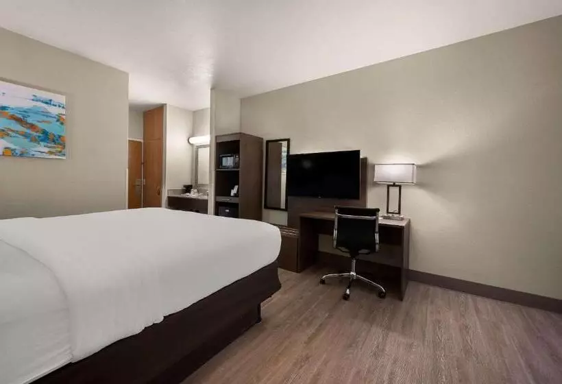 キングサイズベッドのスタンダードルーム, Comfort Inn & Suites