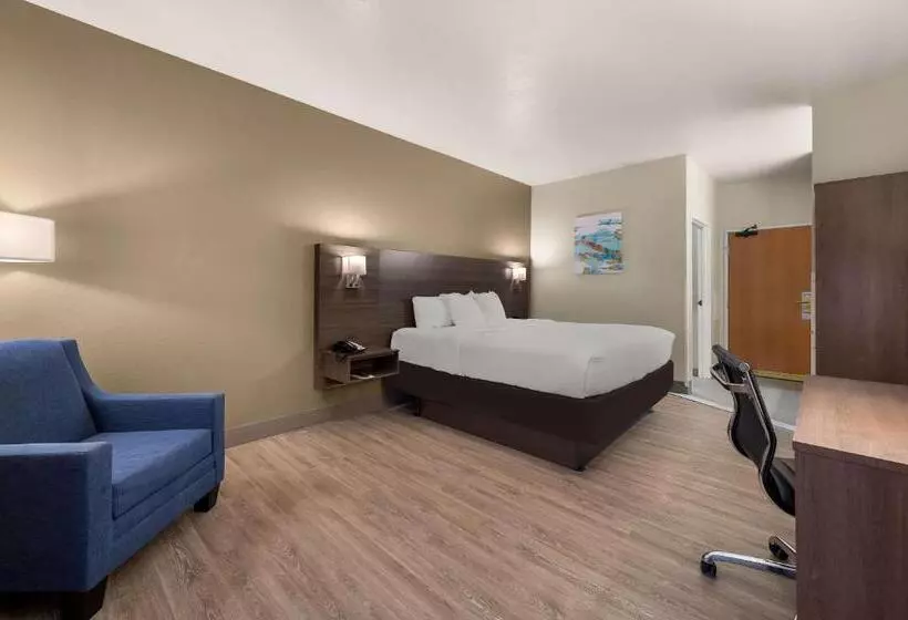 キングサイズベッドのスタンダードルーム, Comfort Inn & Suites