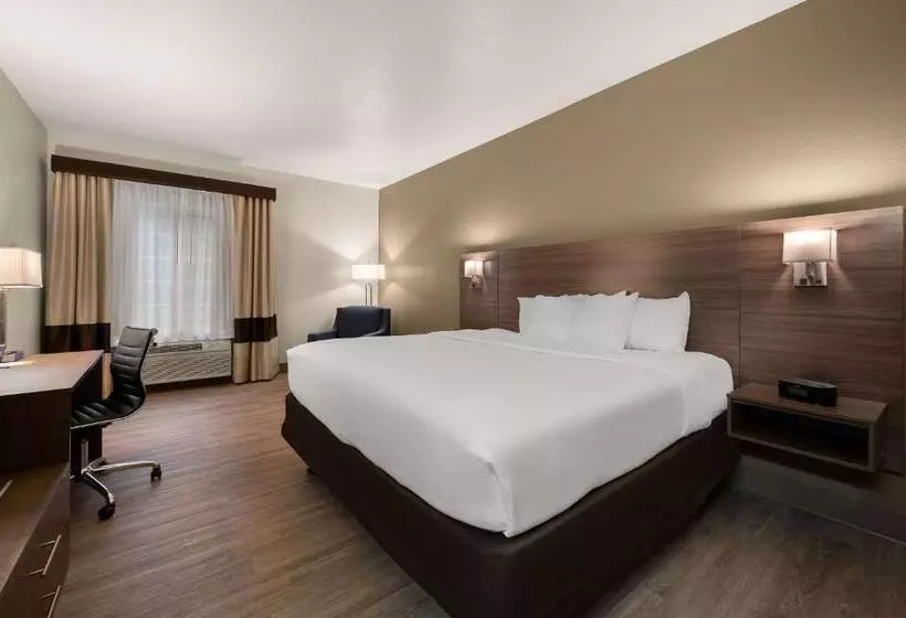 キングサイズベッドのスタンダードルーム, Comfort Inn & Suites
