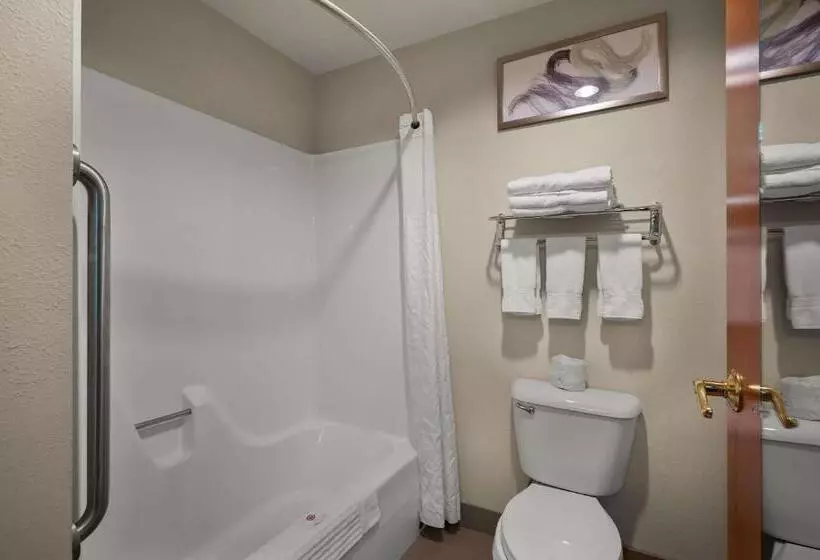 スタンダードルーム, Comfort Inn & Suites