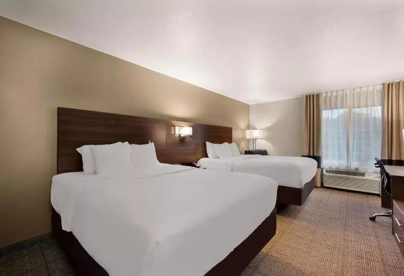 スタンダードルーム, Comfort Inn & Suites
