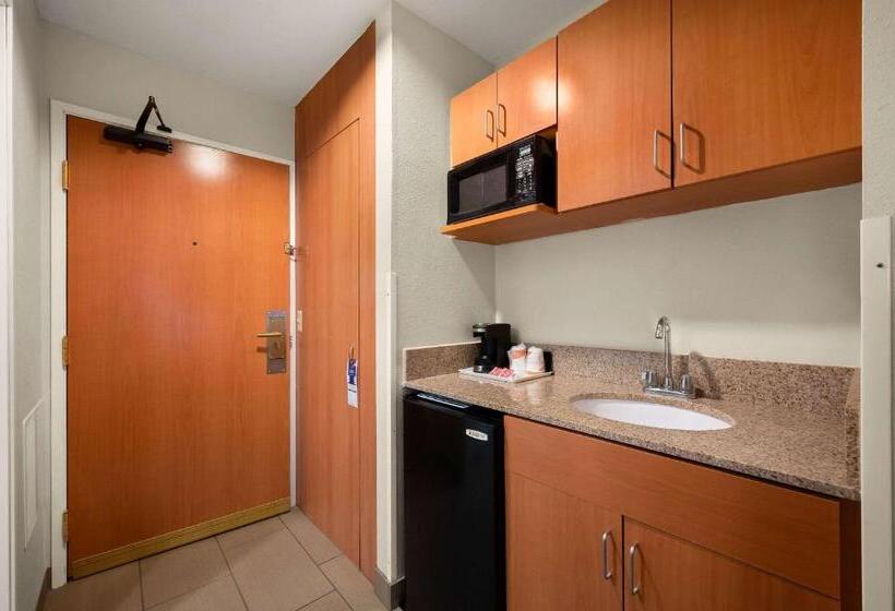 带大床的套房, Comfort Inn & Suites