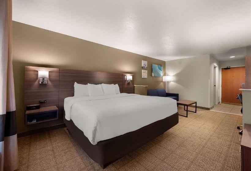 스위트 킹사이즈 침대, Comfort Inn & Suites