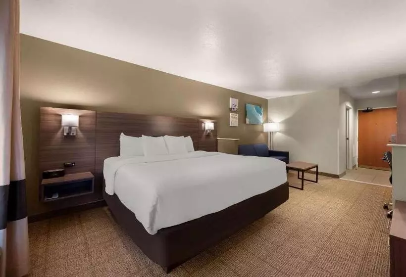 キングサイズベッドのスイートルーム, Comfort Inn & Suites