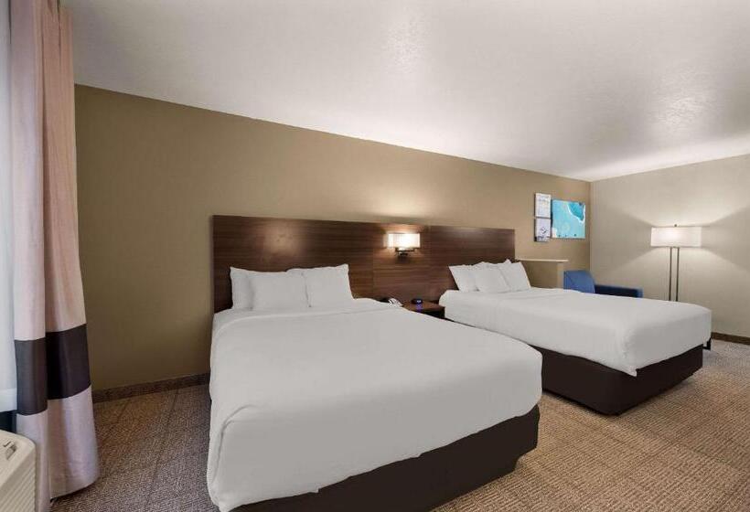 套房, Comfort Inn & Suites