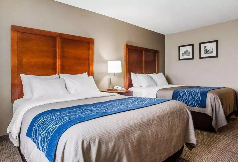 スタンダードルーム, Comfort Inn & Suites Moberly