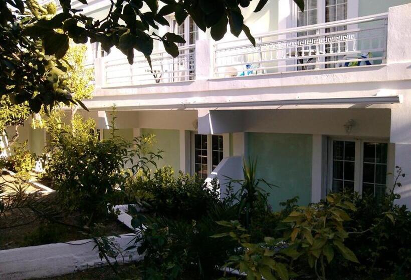 Economy Studio, Evelin