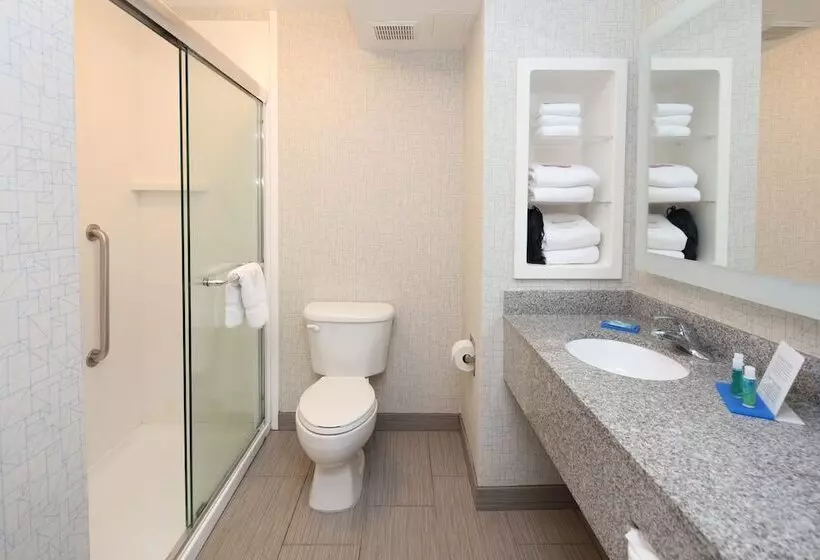 スイート, Holiday Inn Express Hotel & Suites Cincinnati Southeast Newport, An Ihg