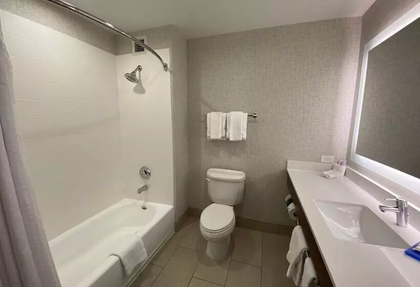 ダブルベッドスタンダードルーム, Holiday Inn Express Hotel & Suites El Dorado Hills, An Ihg