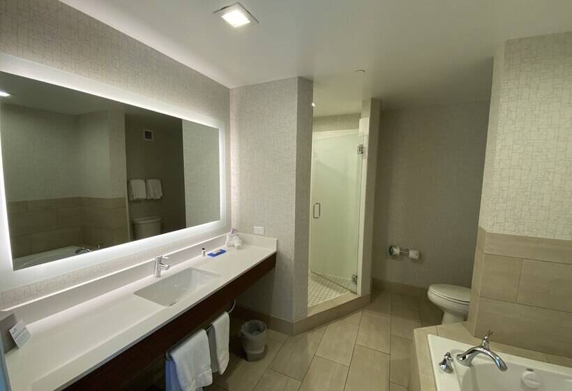 스위트, Holiday Inn Express Hotel & Suites El Dorado Hills, An Ihg