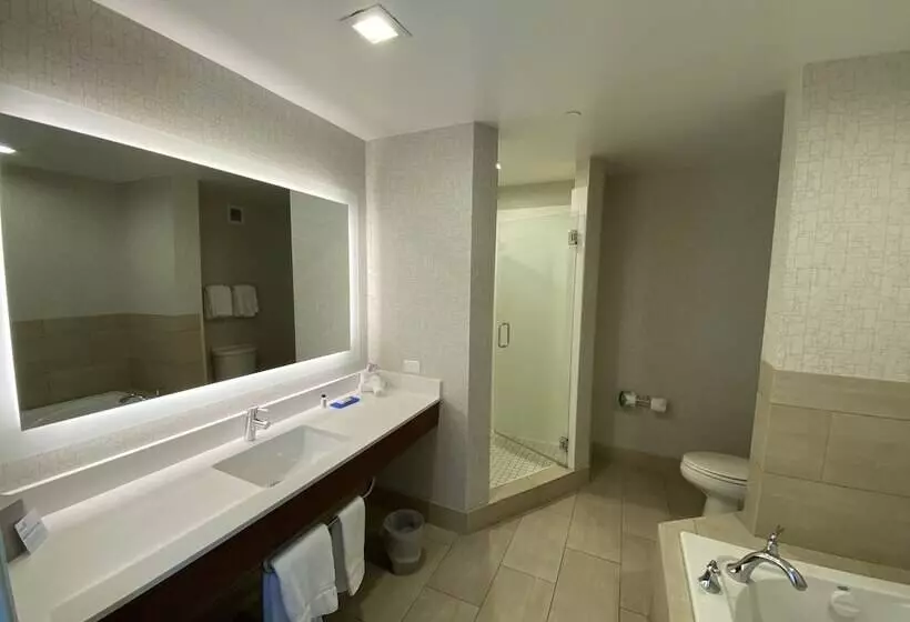 スイート, Holiday Inn Express Hotel & Suites El Dorado Hills, An Ihg