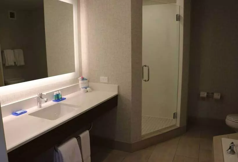 スイート, Holiday Inn Express Hotel & Suites El Dorado Hills, An Ihg