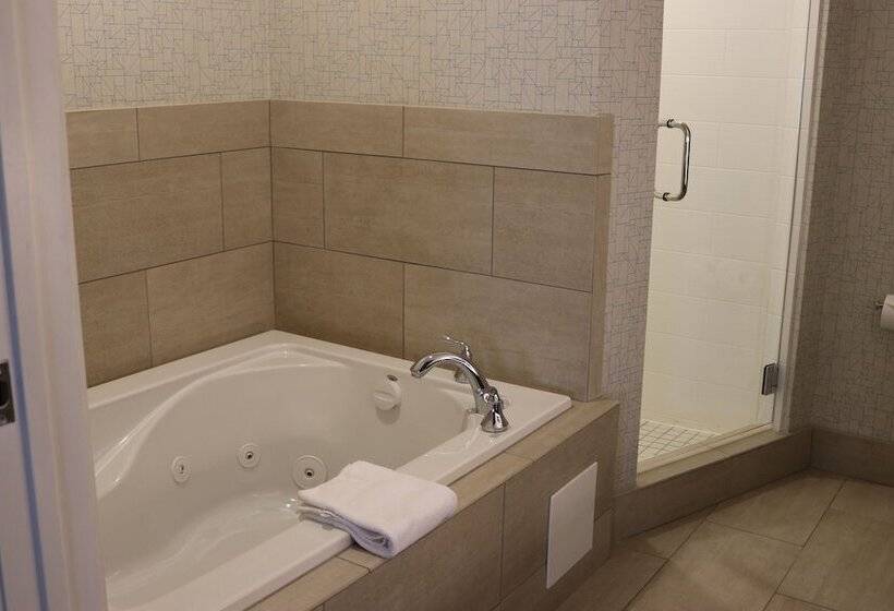 스탠다드 룸 더블 침대, Holiday Inn Express Hotel & Suites El Dorado Hills, An Ihg