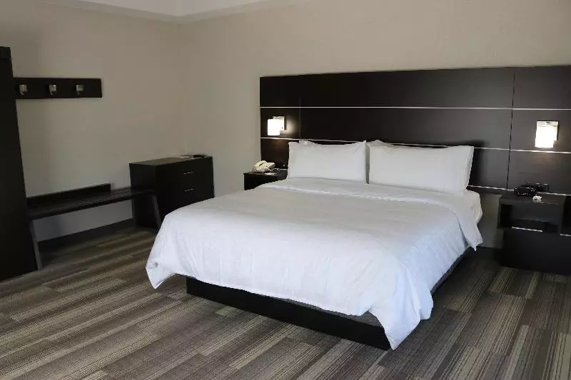 キングサイズベッドのスタンダードルーム, Holiday Inn Express Hotel & Suites El Dorado Hills, An Ihg