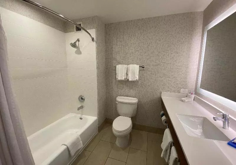 キングサイズベッドのスタンダードルーム, Holiday Inn Express Hotel & Suites El Dorado Hills, An Ihg