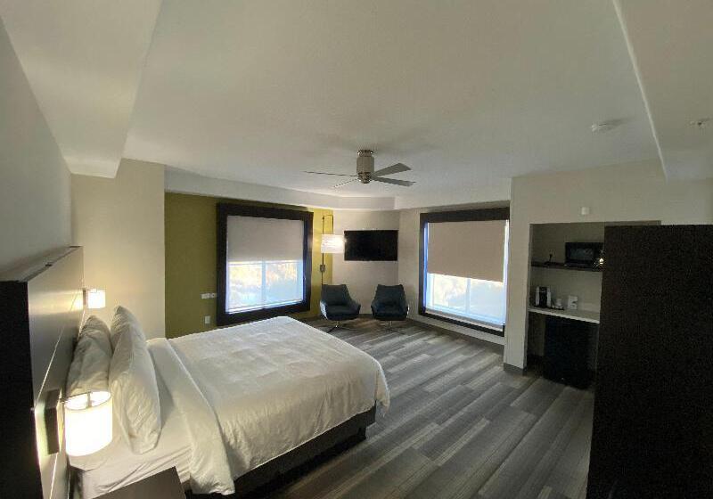 스탠다드 룸 킹사이즈 침대, Holiday Inn Express Hotel & Suites El Dorado Hills, An Ihg