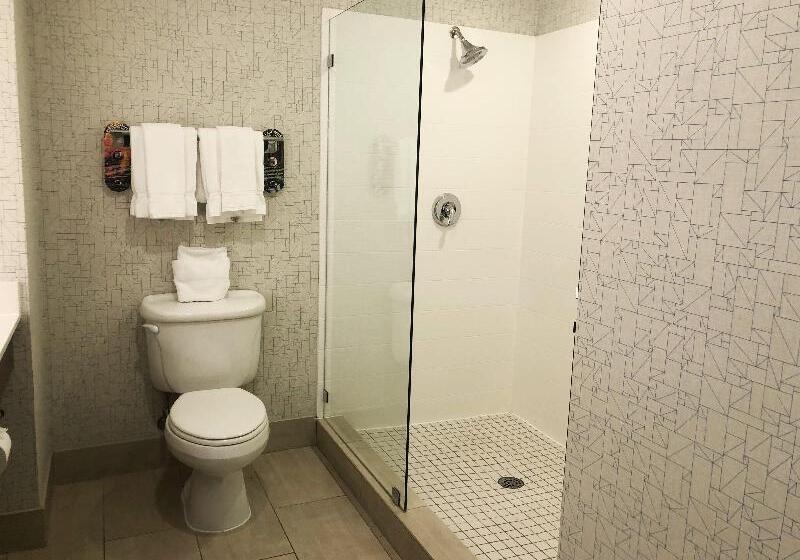 스위트 킹사이즈 침대, Holiday Inn Express Hotel & Suites El Dorado Hills, An Ihg