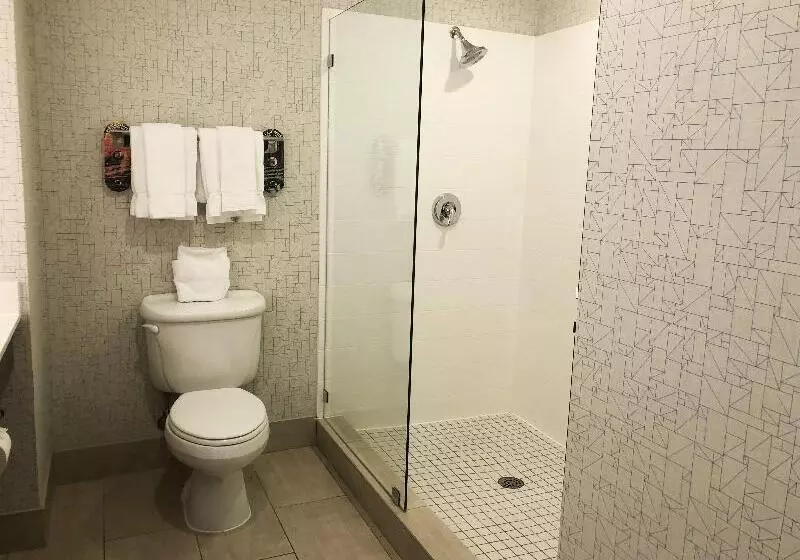 キングサイズベッドのスイートルーム, Holiday Inn Express Hotel & Suites El Dorado Hills, An Ihg