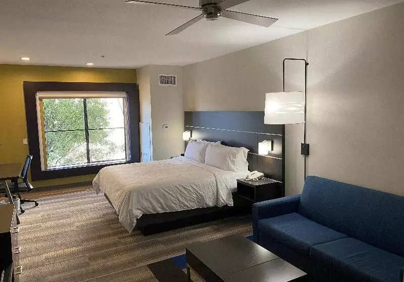 キングサイズベッドのスイートルーム, Holiday Inn Express Hotel & Suites El Dorado Hills, An Ihg