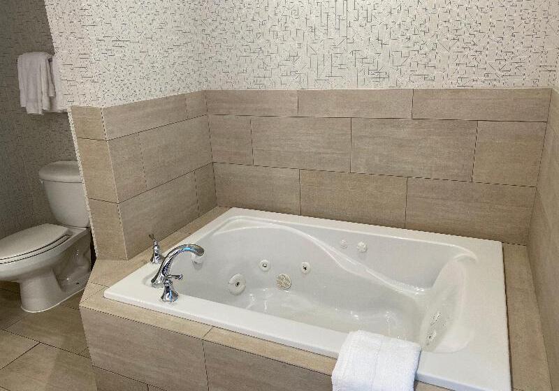 스탠다드 룸 킹사이즈 침대, Holiday Inn Express Hotel & Suites El Dorado Hills, An Ihg