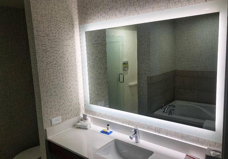 스탠다드 룸 킹사이즈 침대, Holiday Inn Express Hotel & Suites El Dorado Hills, An Ihg