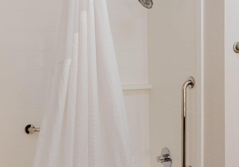 带大床的标准间, Holiday Inn Express Hotel & Suites Greenville, An Ihg