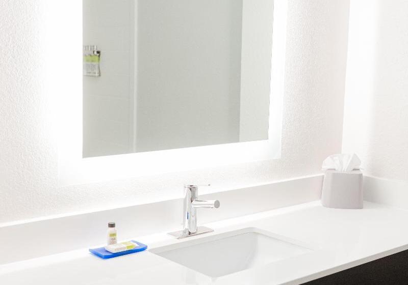 带大床的标准间, Holiday Inn Express Hotel & Suites Greenville, An Ihg