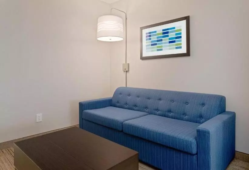 エクゼクティブスイート, Holiday Inn Express Hotel & Suites Lake Placid, An Ihg
