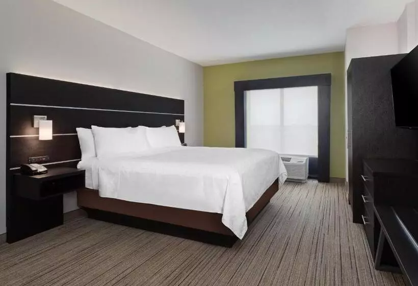 エクゼクティブスイート, Holiday Inn Express Hotel & Suites Lake Placid, An Ihg