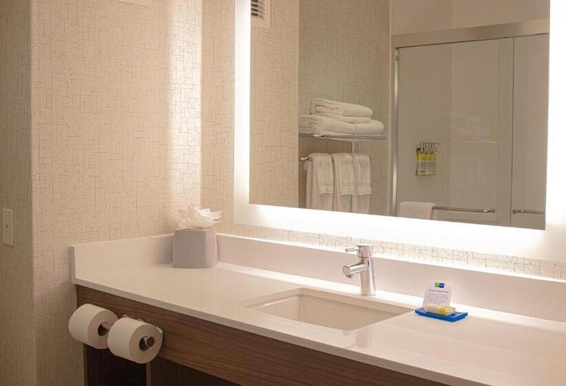 스탠다드 룸 킹사이즈 침대, Holiday Inn Express Hotel & Suites Livermore, An Ihg