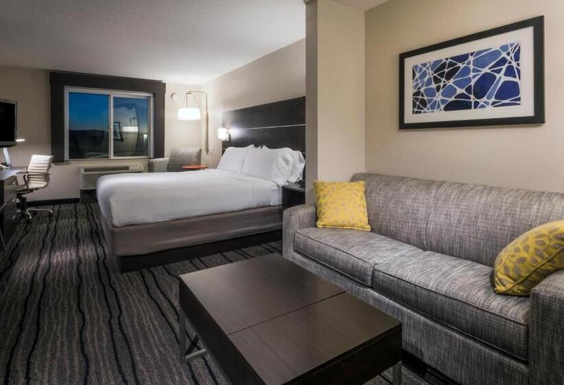 스탠다드 룸 킹사이즈 침대, Holiday Inn Express Hotel & Suites Livermore, An Ihg