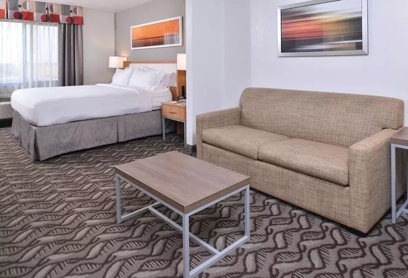 スイート, Holiday Inn Express Hotel & Suites Lonoke I 40, An Ihg