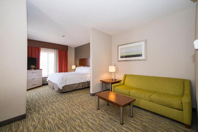 سوئیت با تخت بزرگ, Holiday Inn Express & Suites Vicksburg By Ihg