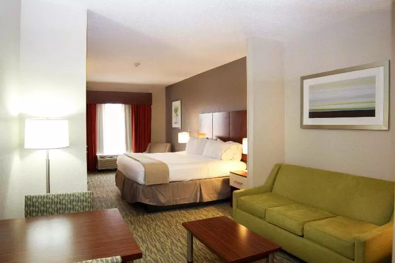 キングサイズベッドのスイートルーム, Holiday Inn Express & Suites Vicksburg By Ihg