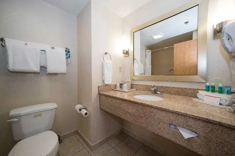 キングサイズベッドのスタンダードルーム, Holiday Inn Express & Suites Vicksburg By Ihg