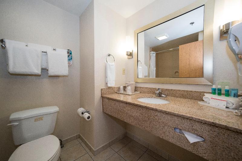 اتاق استاندارد با تخت بزرگ, Holiday Inn Express & Suites Vicksburg By Ihg