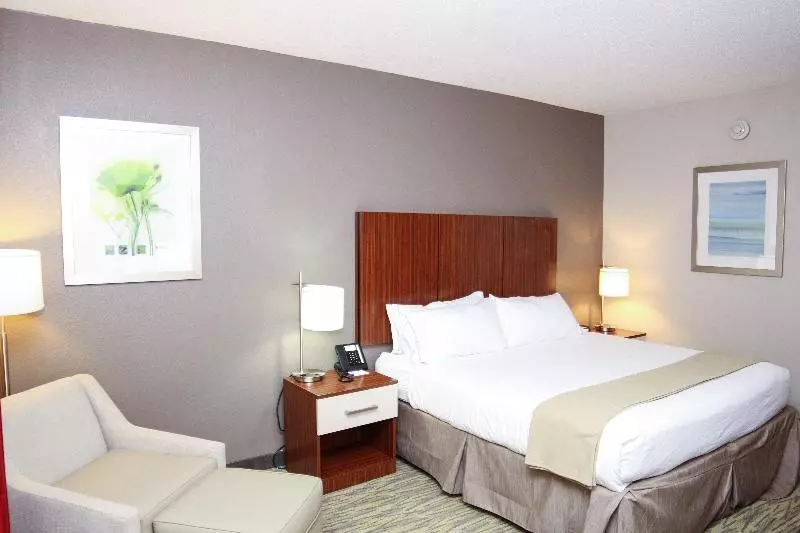 キングサイズベッドのスタンダードルーム, Holiday Inn Express & Suites Vicksburg By Ihg