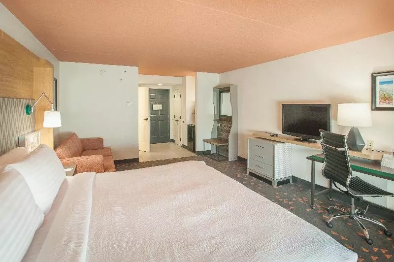 身障者適用キングサイズベッドルーム, Holiday Inn Pensacola   University Area, An Ihg