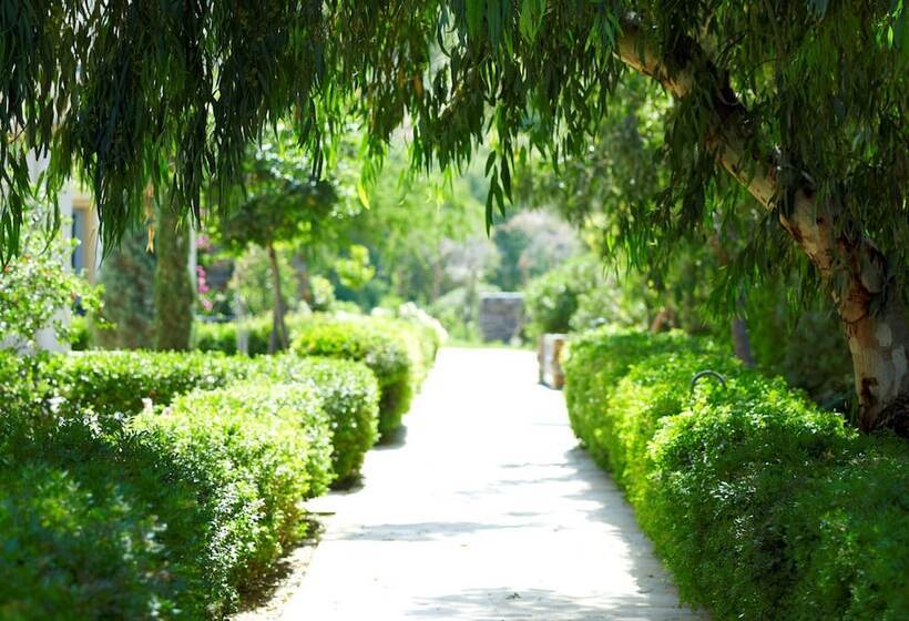 סוויטת ג'וניור נוף לגינה, Porto Kea Suites By Sandglass