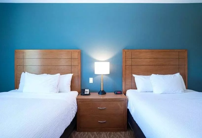 ２ダブルベッドのスタンダードルーム, Sandman Hotel And Suites Squamish