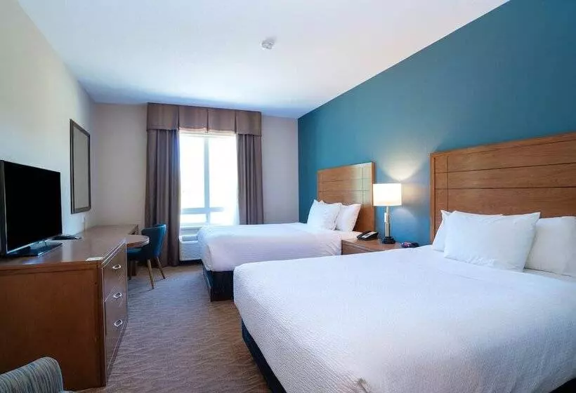 ２ダブルベッドのスタンダードルーム, Sandman Hotel And Suites Squamish