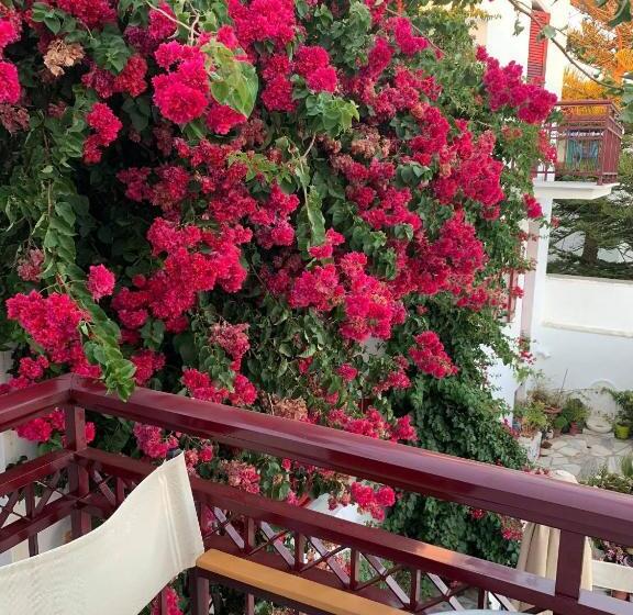 جناح جونيور مطلّ علي البحر, Akrogiali