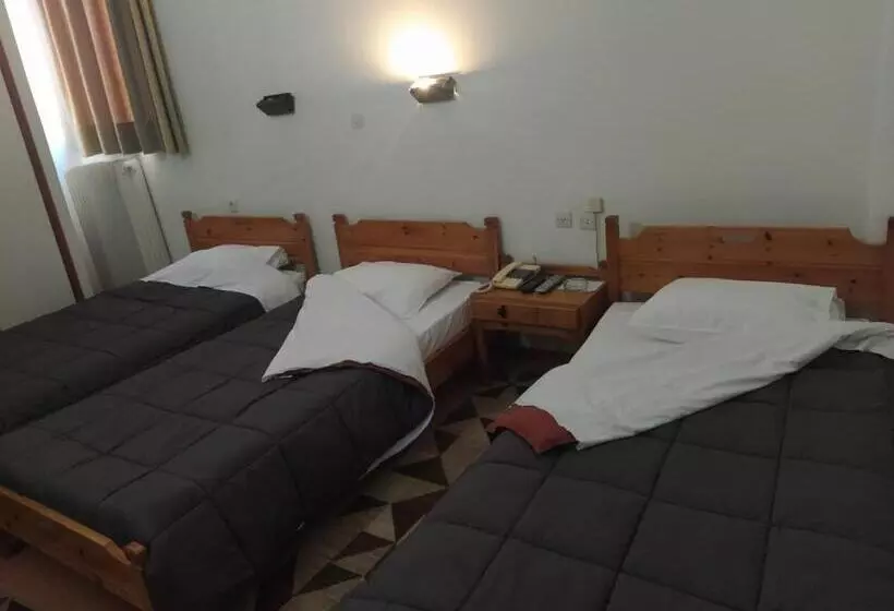 Standard Kolmen Hengen Huone, Apollon Inn