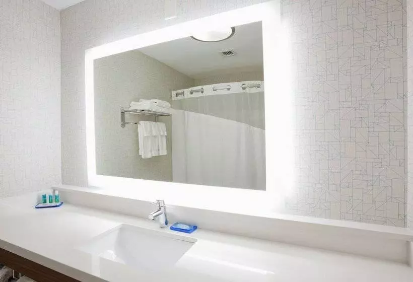 سوییت, Holiday Inn Express & Suites   Dickinson, An Ihg