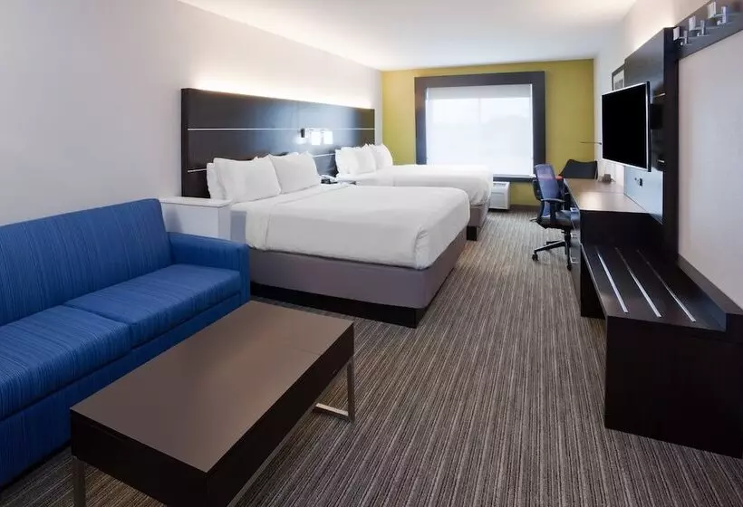 سوییت, Holiday Inn Express & Suites   Dickinson, An Ihg